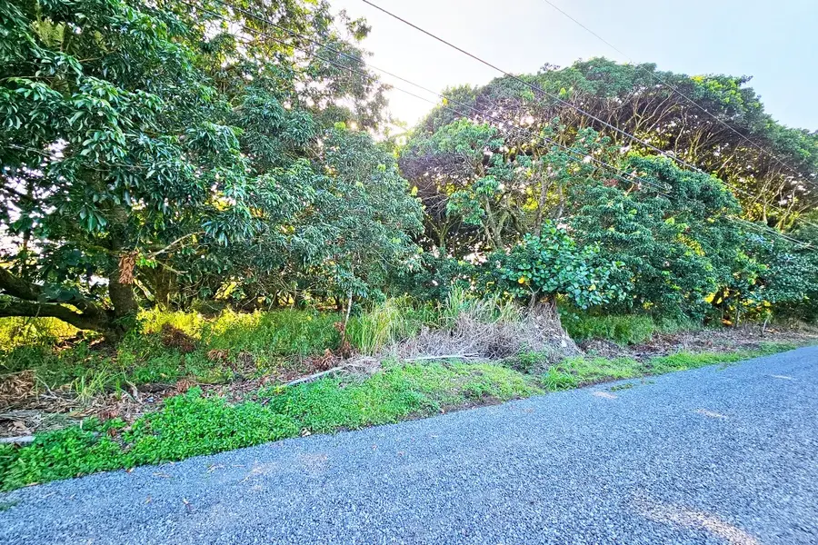 16th Ave, Keaau, HI 96749 - #3