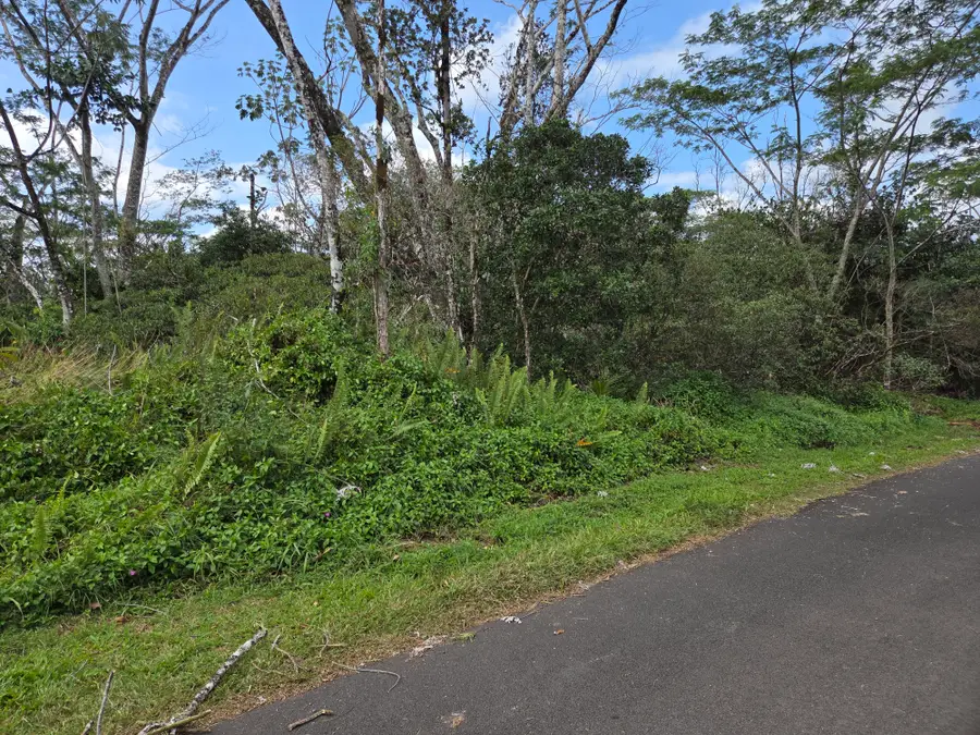 22nd Ave, Keaau, HI 96749 - #2