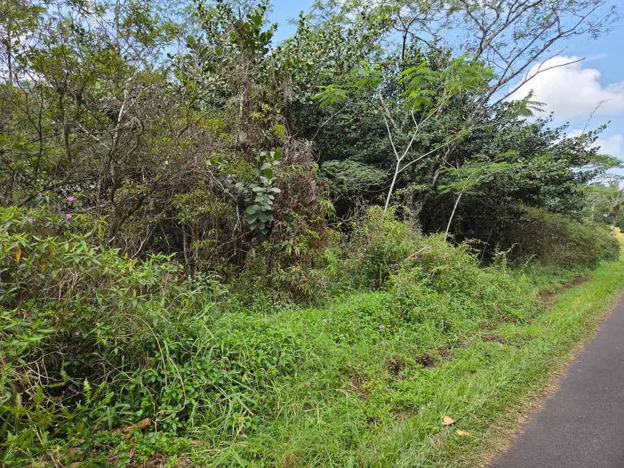 22nd Ave, Keaau, HI 96749 - #3