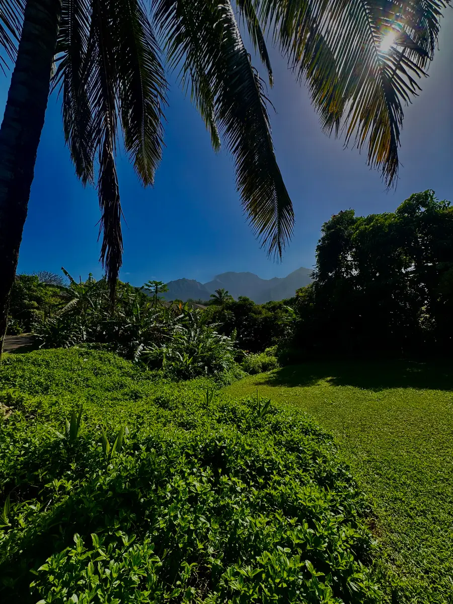 5339 Honoiki Rd, Princeville, HI 96722 - #3