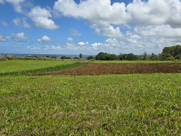 Puia Road, Hilo, HI 96720