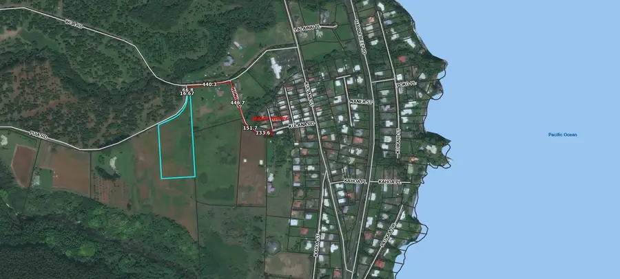 Puia Road, Hilo, HI 96720 - #2