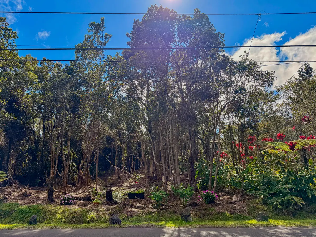 Nahelenani St, Volcano, HI 96785 - #1