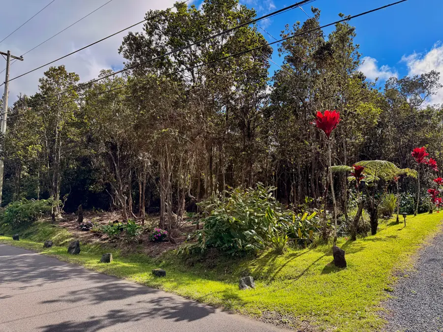 Nahelenani St, Volcano, HI 96785 - #2
