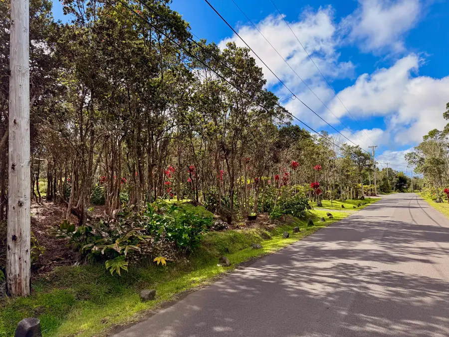 Nahelenani St, Volcano, HI 96785 - #3