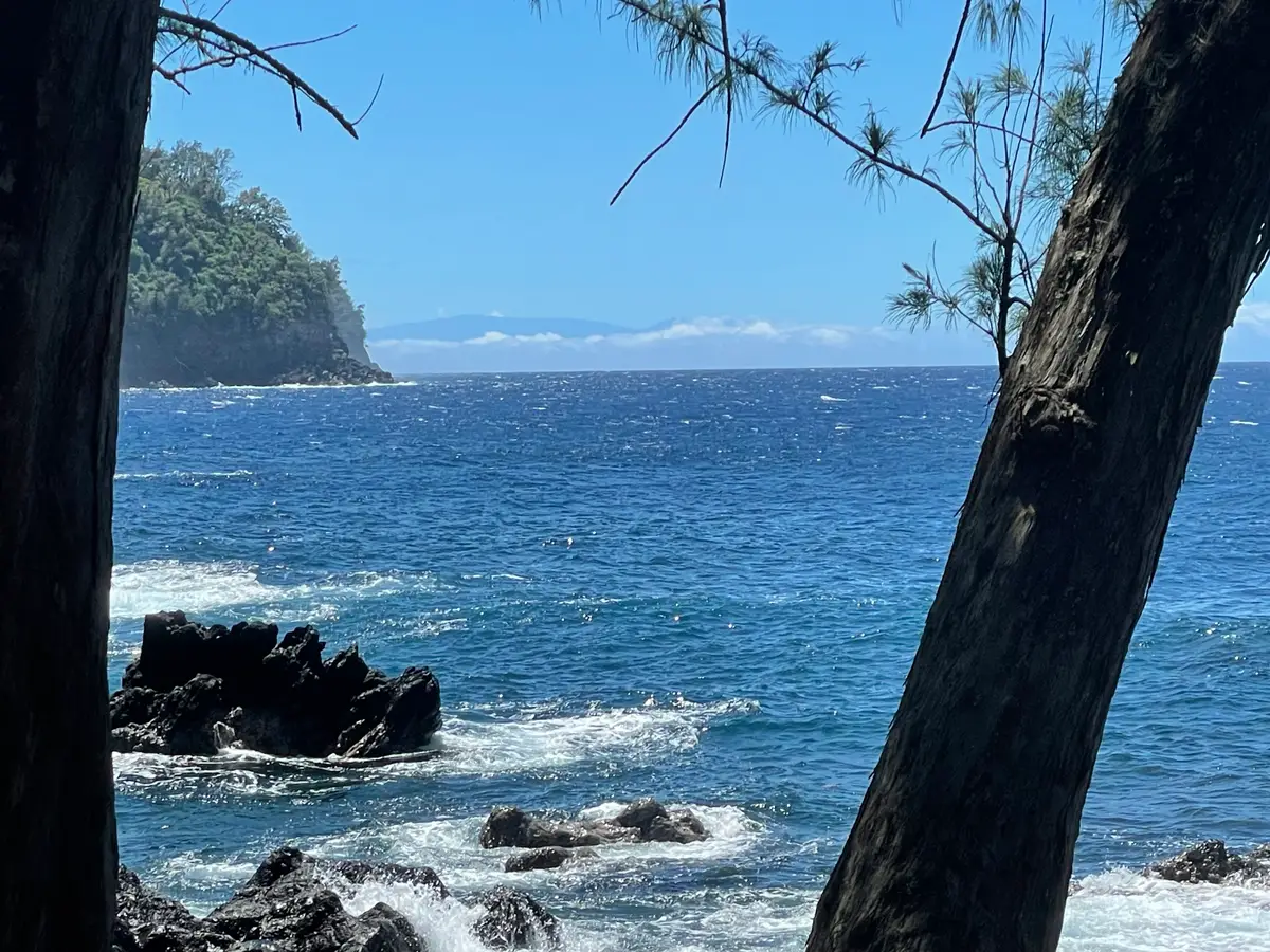 36-1070 Laupahoehoe Point Rd, Laupahoehoe, HI 96764 - #1