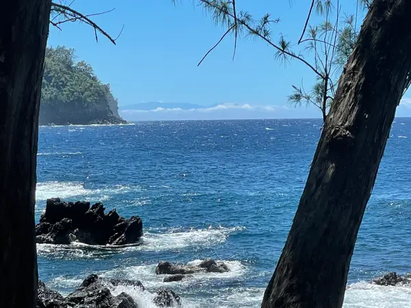 36-1070 Laupahoehoe Point Rd, Laupahoehoe, HI 96764