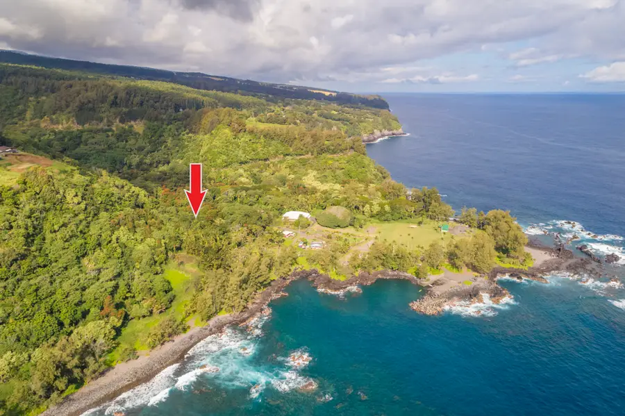 36-1070 Laupahoehoe Point Rd, Laupahoehoe, HI 96764 - #2
