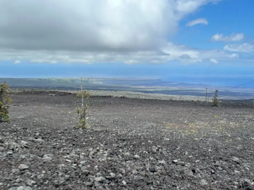 Iwalani Pkwy, Ocean View, HI 96737 - #2