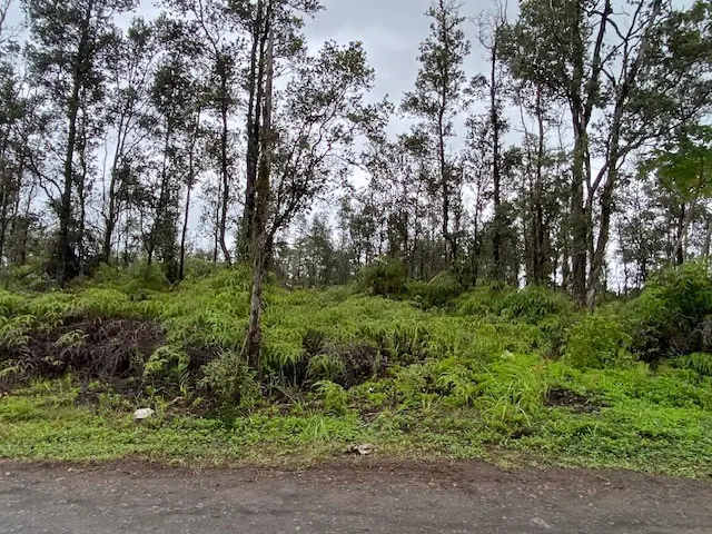 36th Ave, Kurtistown, HI 96760 - #1