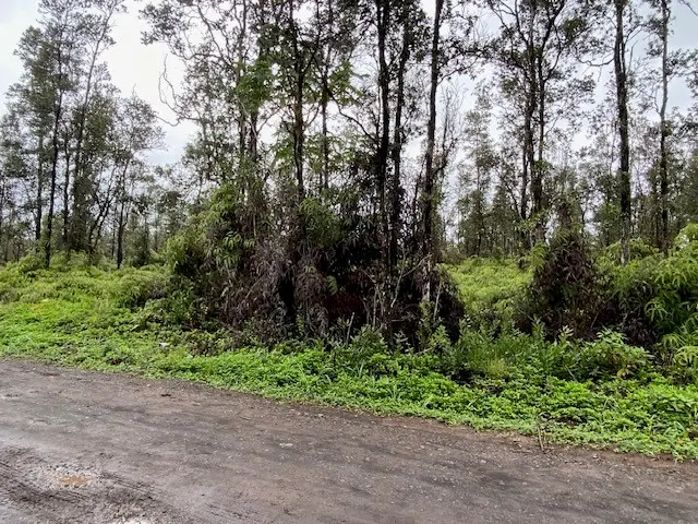 36th Ave, Kurtistown, HI 96760 - #2