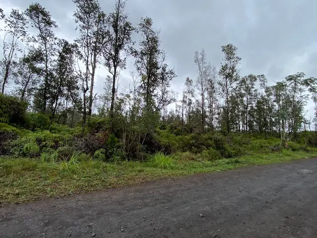 16-1739 36th Ave, Kurtistown, HI 96760 - #2