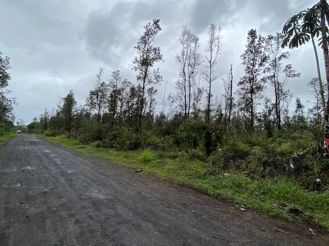 16-1739 36th Ave, Kurtistown, HI 96760 - #3