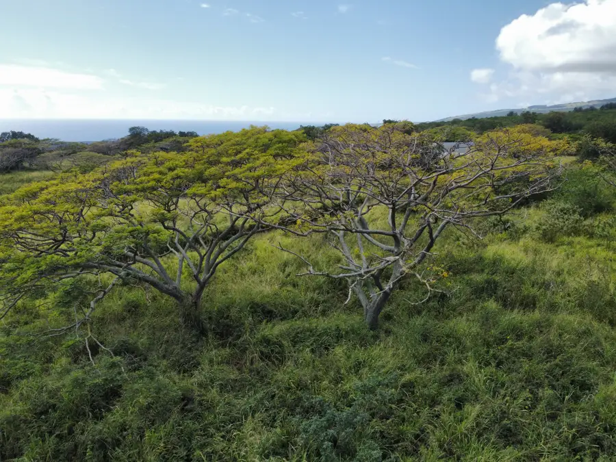 Address Withheld By Seller, Naalehu, HI 96772 - #3