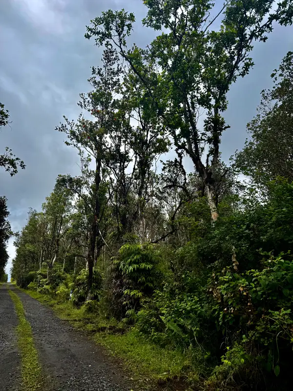 Road 9, Mountain View, HI 96771