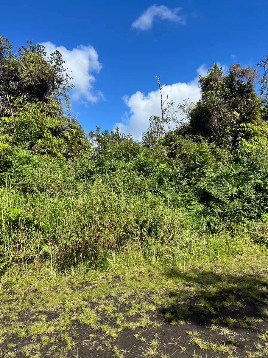 Holana St, Mountain View, HI 96771 - #3