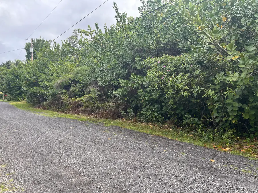 Lemiwai Rd, Keaau, HI 96749 - #2