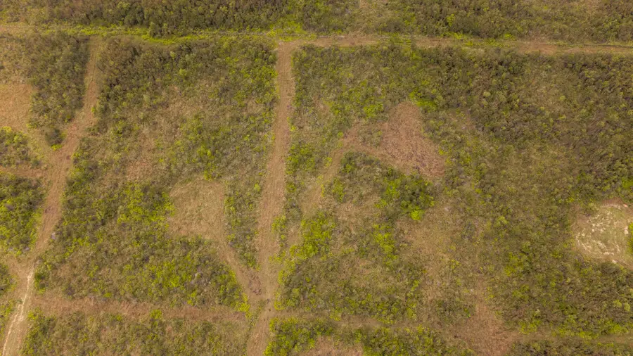 18-3428 Glenwood Rd, Volcano, HI 96785 - #2