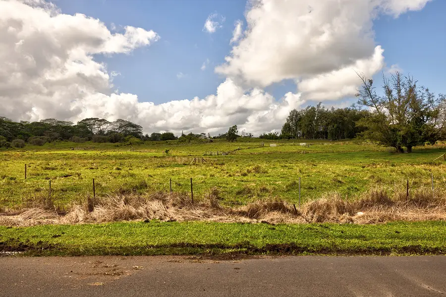 2370 Ainaola Dr, Hilo, HI 96720 - #2