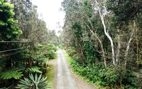 19-4164 Alanui Iiwi Rd, Volcano, HI 96785