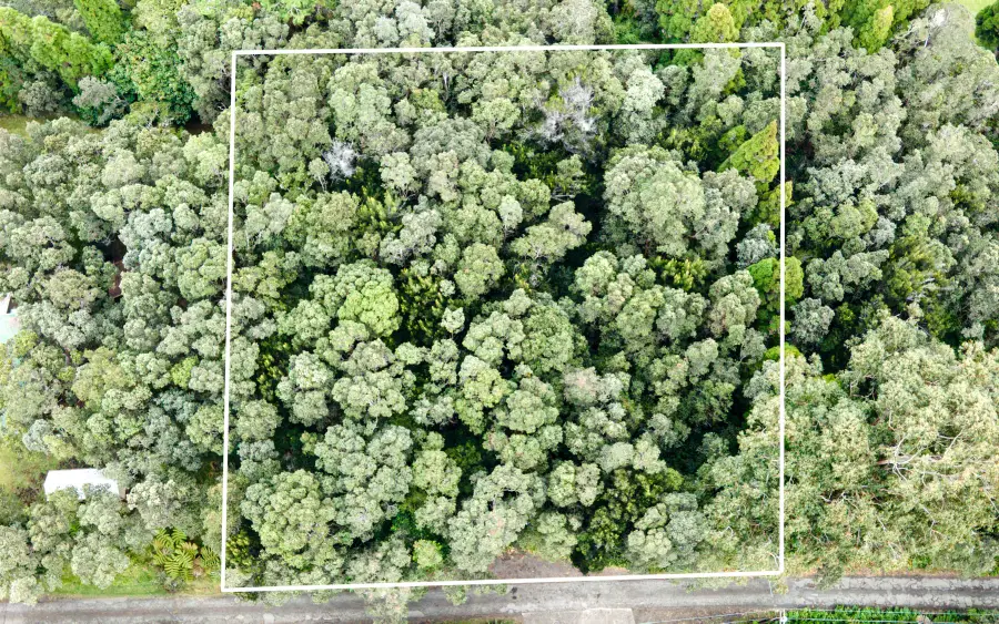 19-4164 Alanui Iiwi Rd, Volcano, HI 96785 - #2