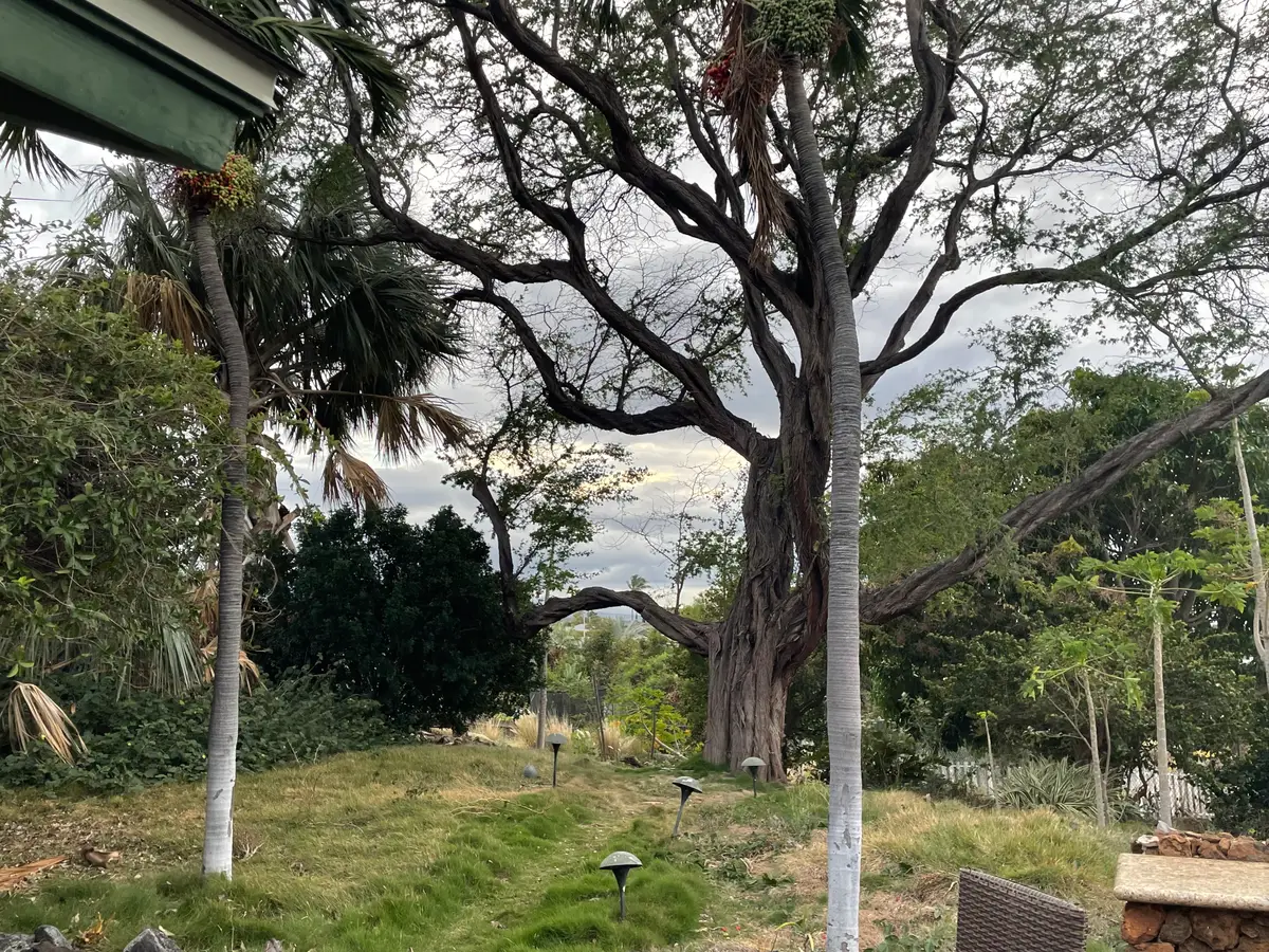 68-1726 Hulukoa Pl, Waikoloa, HI 96738 - #1