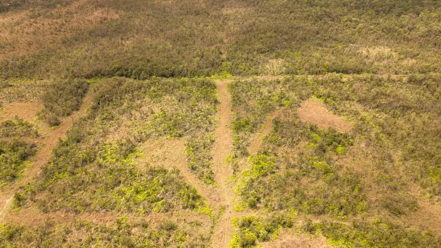 18-3430 Glenwood Rd, Volcano, HI 96785 - #3