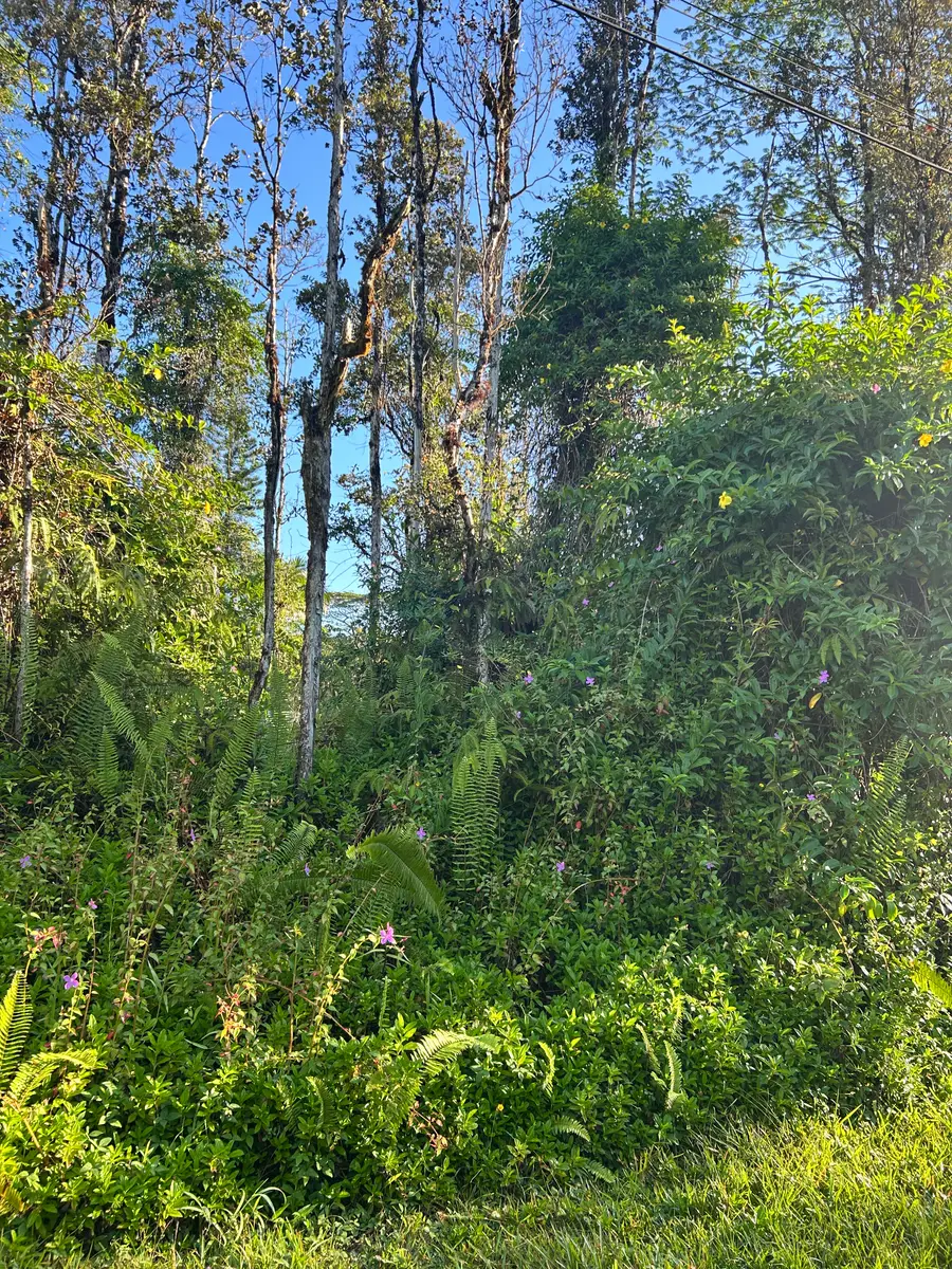 Kahoolawe Rd, Pahoa, HI 96778 - #2