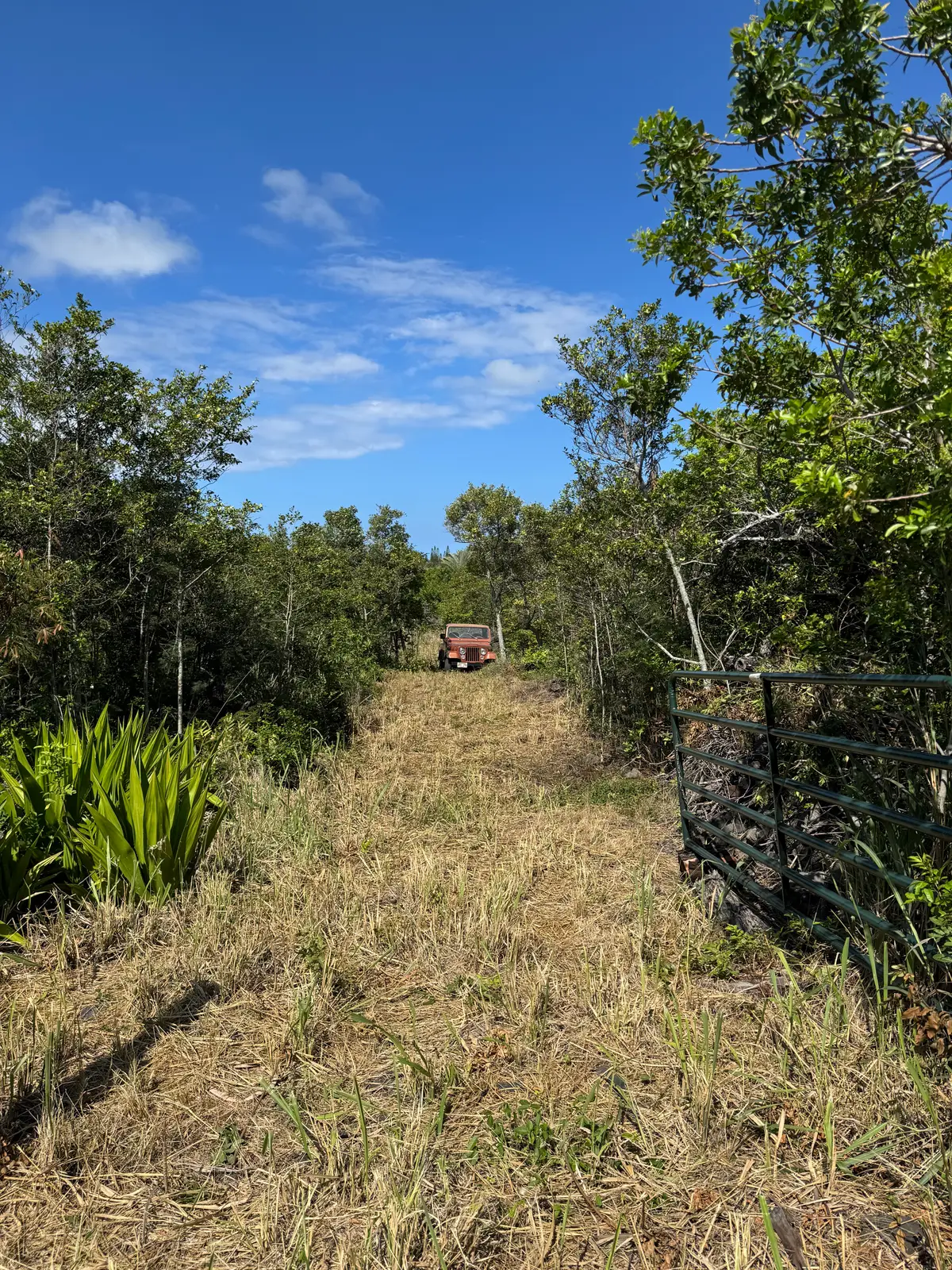 Amepela Rd, Naalehu, HI 96772 - #1