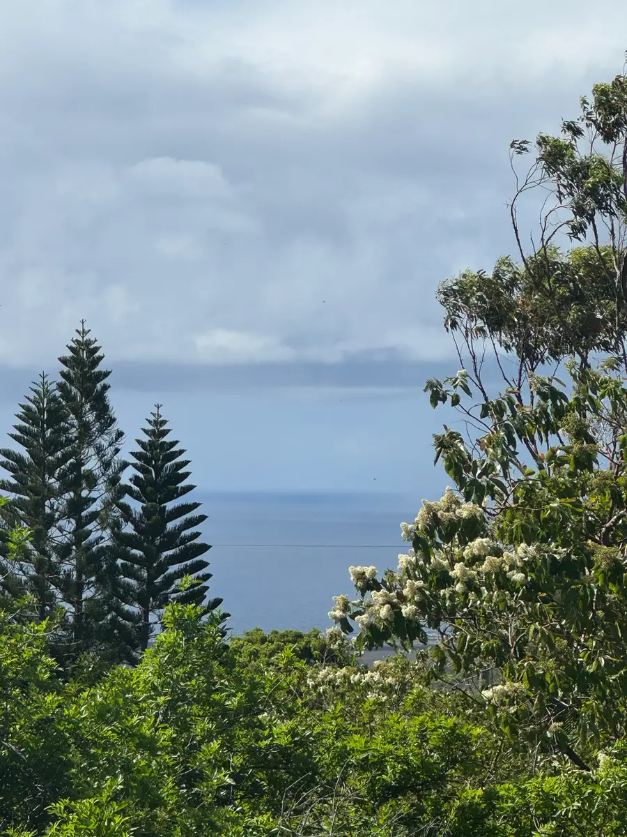 Amepela Rd, Naalehu, HI 96772 - #3