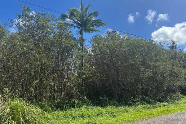 39th Ave, Keaau, HI 96749