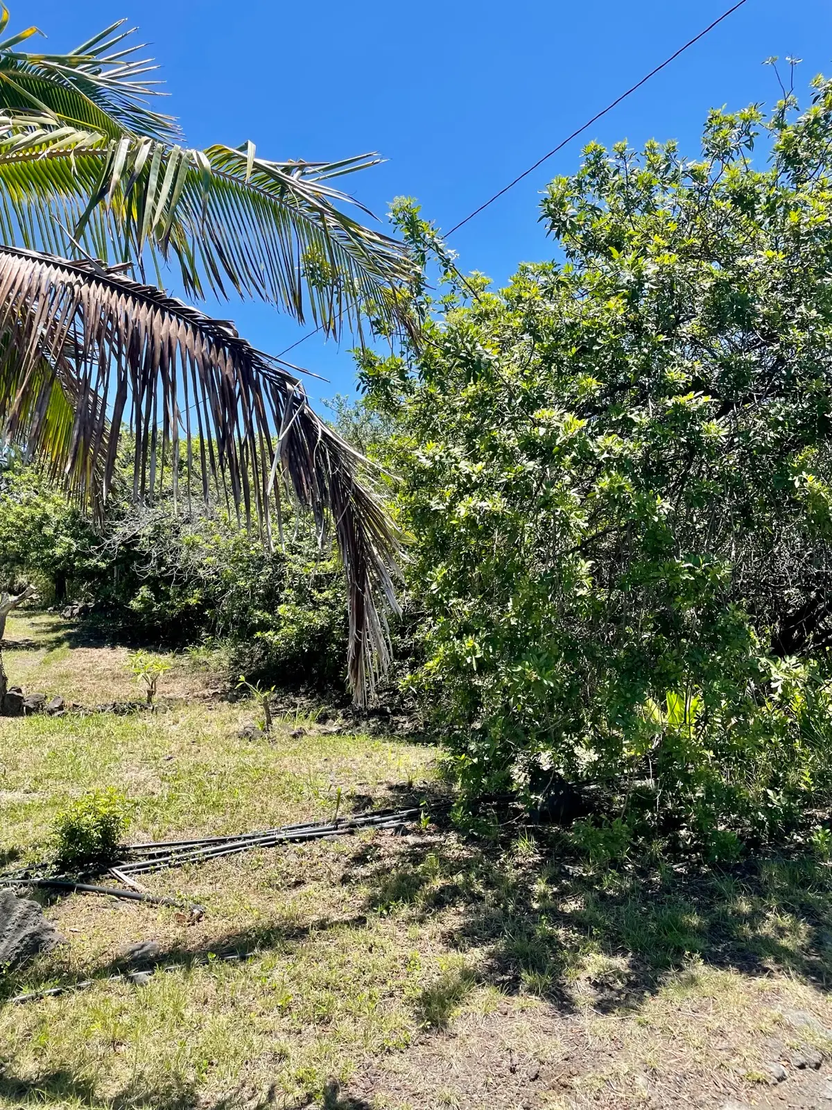 Holowai St, Naalehu, HI 96772 - #1