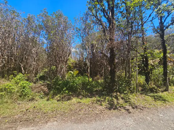 Road 9, Mountain View, HI 96771