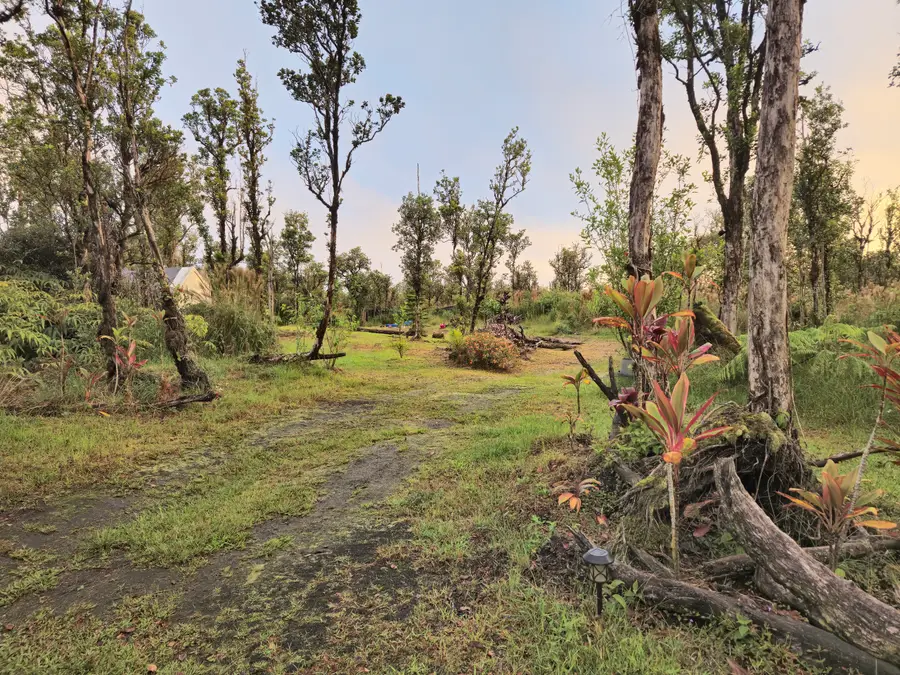 11-1772 Puna Wai Ave, Mountain View, HI 96771 - #3