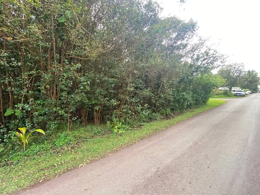 Diamond Head Dr, Pahoa, HI 96778 - #3