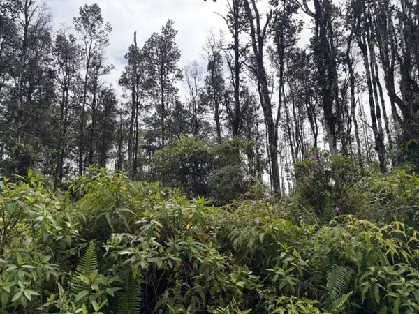 Seaview Rd, Pahoa, HI 96778