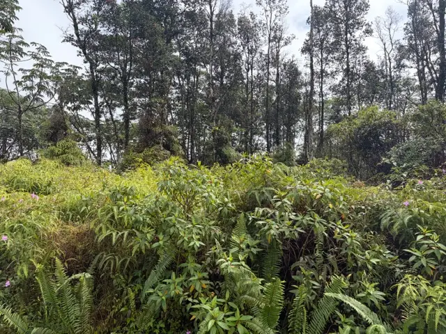 Seaview Rd, Pahoa, HI 96778 - #2