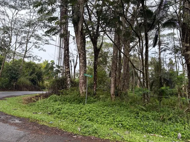 Seaview Rd, Pahoa, HI 96778 - #3