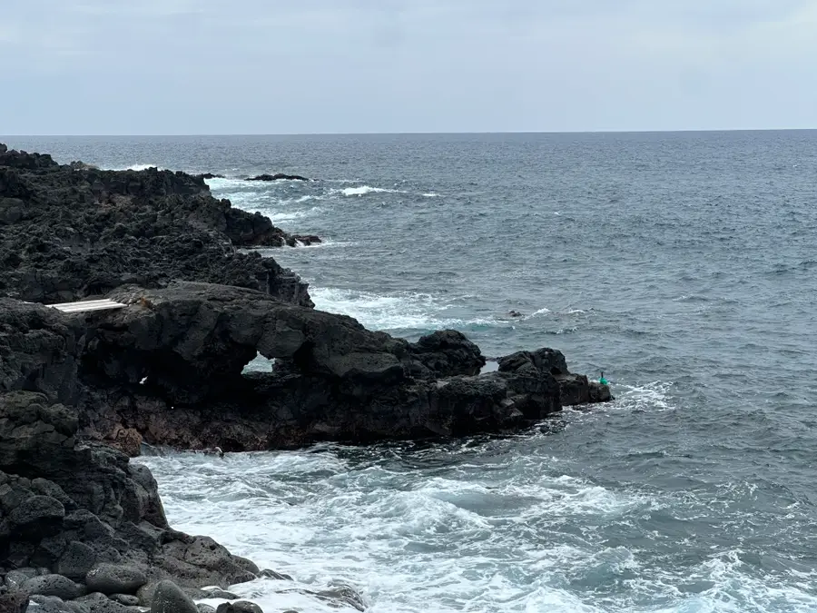 Eono Ave, Captain Cook, HI 96704 - #3