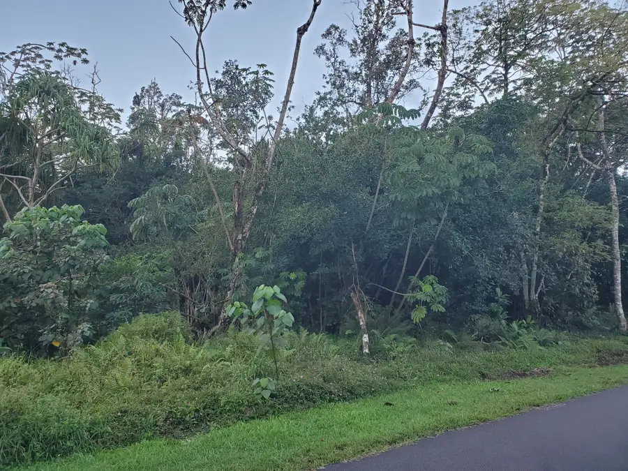 S Moana St, Pahoa, HI 96778 - #2