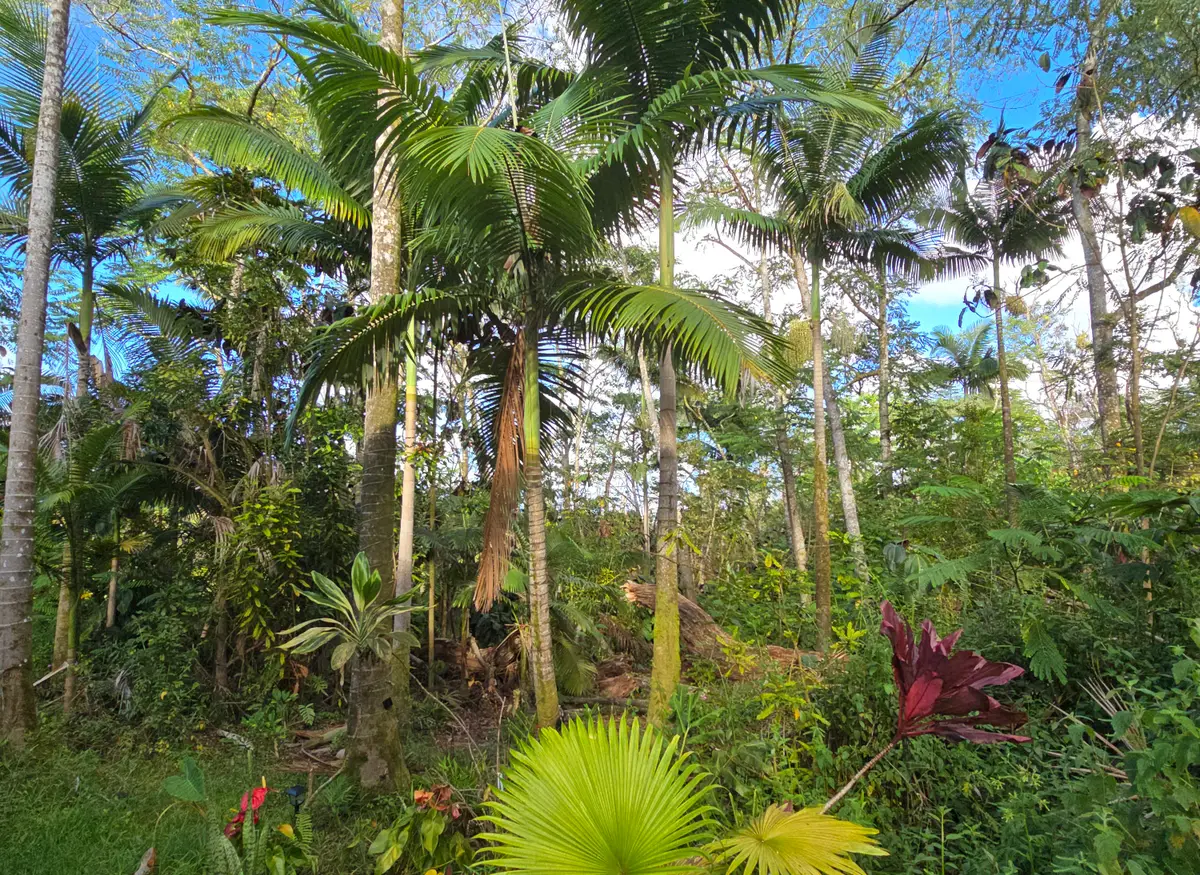 13-3359 Moku St, Pahoa, HI 96778 - #1