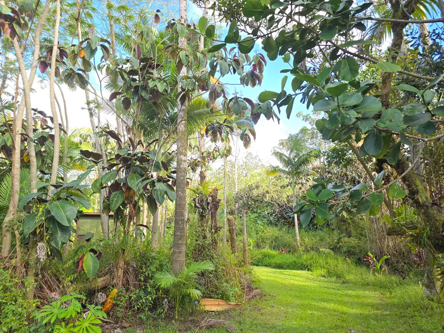 13-3359 Moku St, Pahoa, HI 96778 - #3