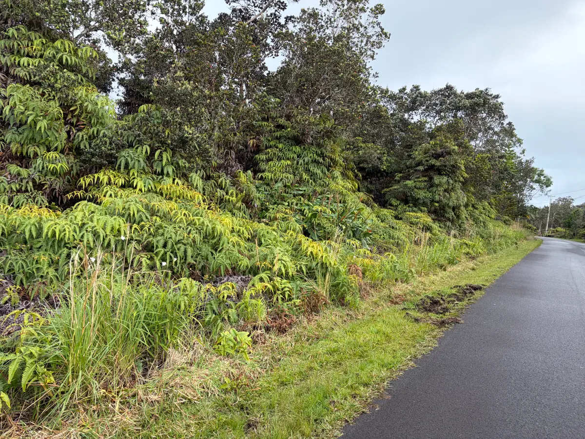 Nahelenani St, Volcano, HI 96785 - #1