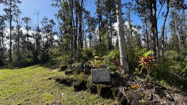 16-1962 Hopue Rd, Mountain View, HI 96760