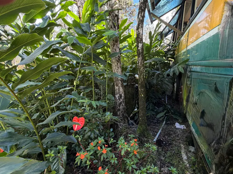 16-1962 Hopue Rd, Hawaiian Acres, HI 96760 - #2