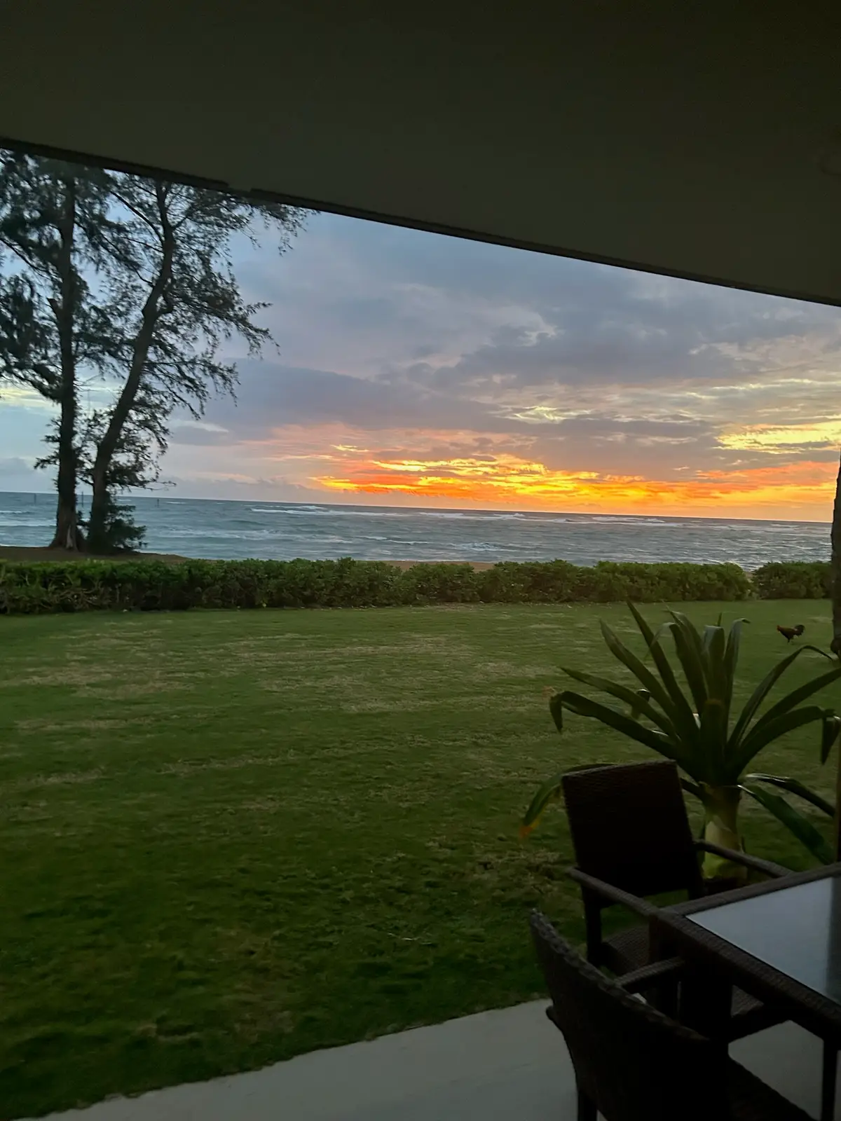 4-1250 Kuhio Hwy #C107, Kapaa, HI 96746 - #1