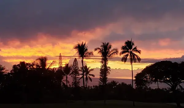 78-6920 Alii Dr #116, Kailua Kona, HI 96740