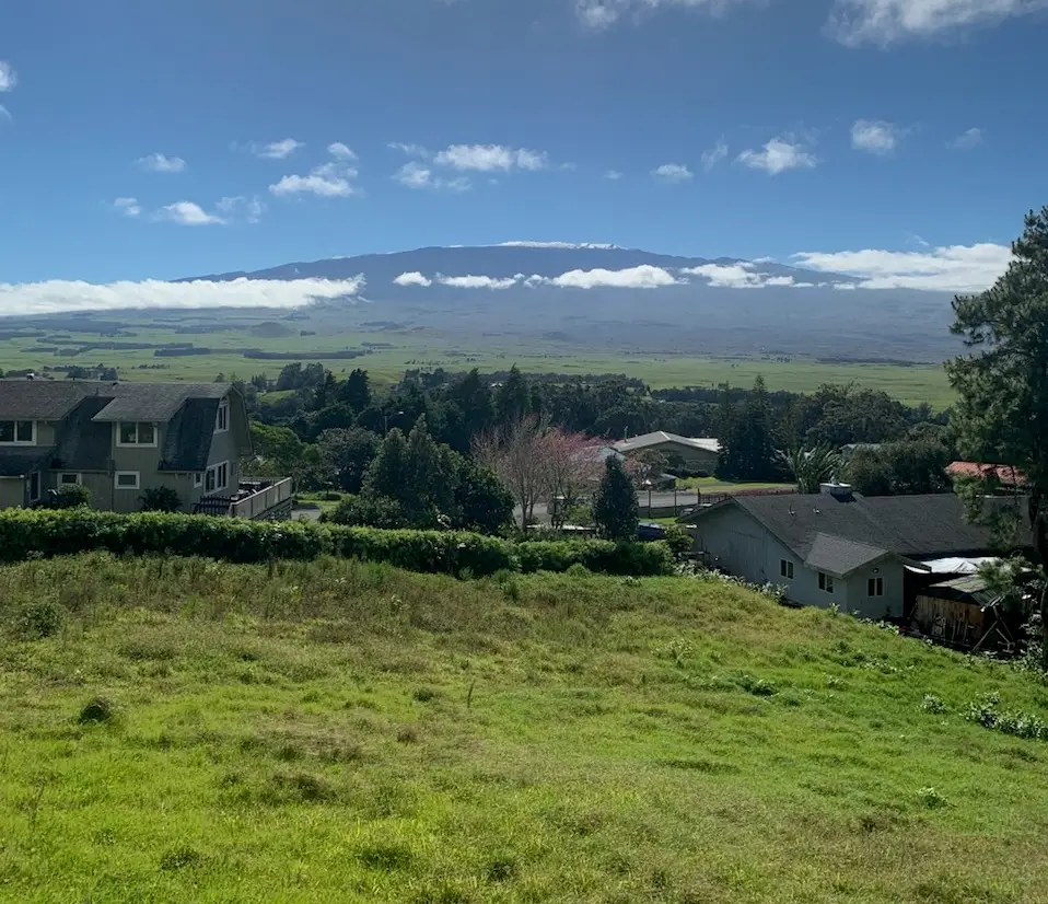 64-635 Kolohala Pl, Kamuela, HI 96743 - #1
