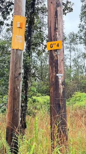 Road 4 (io Kea) #LOT 3534, Mountain View, HI 96771 - #2