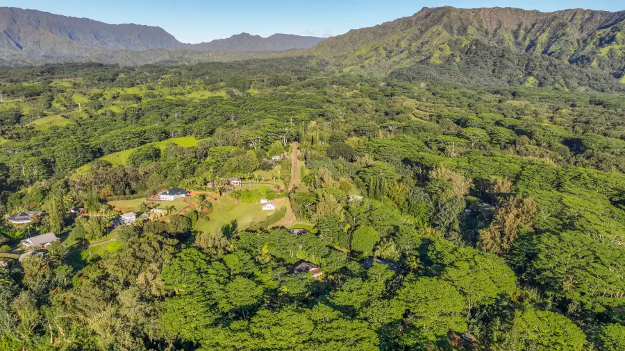 1370 Honoohala Pl, Kapaa, HI 96746 - #2